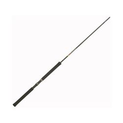B&M Buck's Graphite Jig Fishing Pole 14ft 3 Pieces Black BGJP143n