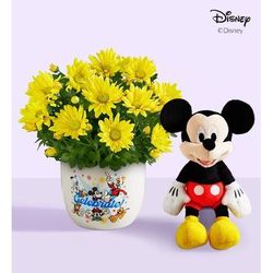 1-800-Flowers Everyday Gift Delivery Disney Celebration Mum Plant W/ Plush