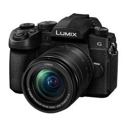 Panasonic Used Lumix G95 Hybrid Mirrorless Camera with 12-60mm Lens DC-G95DMK