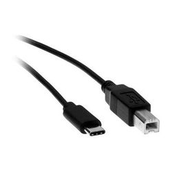 Rocstor USB Type-C to USB Type-B Male Cable (3', Black) Y10C141-B1