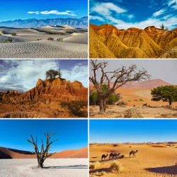 Bonvvie Photography Background Natural Desert Sand Dunes Blue Sky Children Photoshoot Backdrop