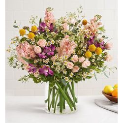 1-800-Flowers Seasonal Gift Delivery Vivid Beauty Bouquet Large