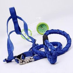 Prodotti per cani Prodotti per gatti Pettorine Guinzagli Regolabile Portatile Duraturo Esterno Marcia