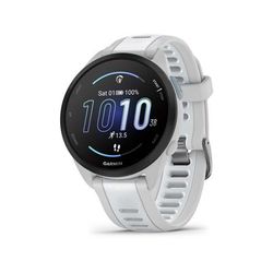 Garmin Forerunner 165 43mm Watch Mist Gray/Whitestone 010-02863-21