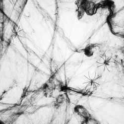 Toile d'araignée déco, noir