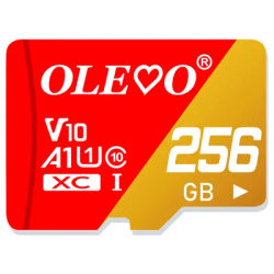 Carte mémoire originale de classe 10 EVO + EVO Plus 256 go 128 go 64 go 16 go Mini carte SD 32 go TF