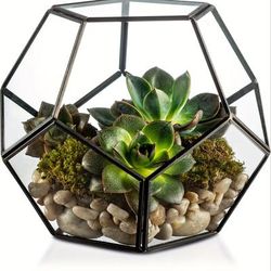 1pc, Small Black Glass Geometric Terrarium Planter, Ball Shape Plants Terrarium Pot, Creative Pots For Office Desktop Balcony Home Garden Indoor Statue Decorations Ornaments