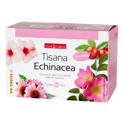 Dr Theiss Tisana Echinacea Filtri 20 pz Bustine filtro