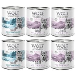 6x800g Mixed Pack Junior Little Wolf of Wilderness Wet Dog Food