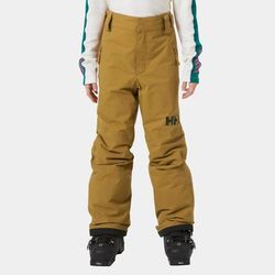 Helly Hansen Junior Legendary Waterproof Ski Trousers Brown 140/10