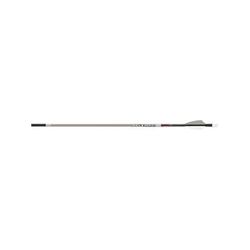 Carbon Express Maxima Red SD Stone Gray Arrows