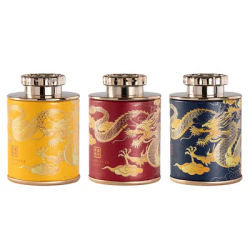 Mini 2024 Dragon AfricTea 18 canettes de thé noir vert domestique, bocal scellé, portable, petit, boîte d'emballage de thé à la maison, boîtes de rangement en papier
