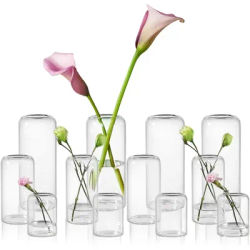 Glass Bud Vase Set of 12, Clear Small Vases in for Flowers. Modern Hand Cylinder Glass Vase for