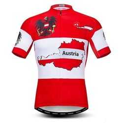 Per uomo Maglia da Ciclismo Grafico Lettere Numeri Italia Manica Corta Bicicletta Maglia Top con 3 tasche posteriori Mountain Bike MTB Ciclismo su strada Asciugatura Rapida Morbido Strisce