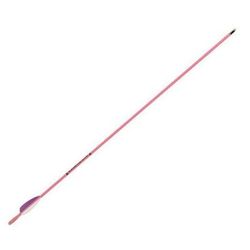 Gold Tip Youth Fiberglass Arrows - Black