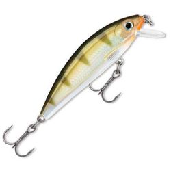 Rapala X-Rap CountDown Hard Jerkbait - Rainbow Trout