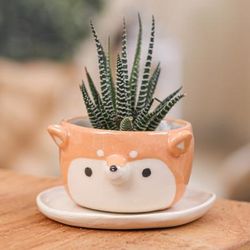 'Thai-Made Siberian Dog Mini Flower Pot and Saucer (Small)'