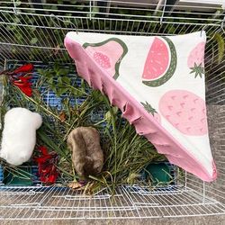 TEMU A Decorative For Small Pets, For , Guinea Pigs, And Other Small Animals To Hide In. A Single Piece From The Fruit Series Two.