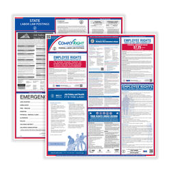 Complyright Federal And State Labor Law Poster Set, English, Missouri
