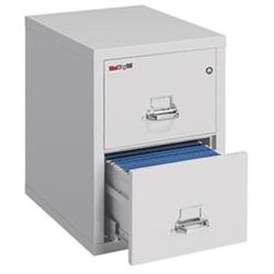 Fireking 25"d Vertical 2-Drawer Letter-Size Fireproof File Cabinet, Metal, Platinum, White Glove Delivery