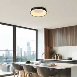 Bryce | Modern Ceiling Light | Matte Black / Large / Warm White (3000k) | Bedroom Lighting | Living Room Lighting | Ceiling Lights | Indoor Lighting | MOD LIGHTING