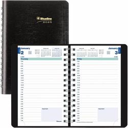 Blueline Plan and Link Daily Appointment Book, 8 x 5, Black Distressed Faux Leather Cover, 12-Month (Jan to Dec): 2025 (REDC1504W81)