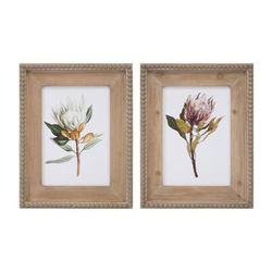 Wood Framed Protea Floral Print (Set of 2) by Melrose in Green White Brown