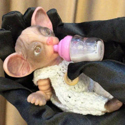 11cm Can Washable Mini Silicone Cat Doll WIth Painted Skin Soft Touch Lifelike Cute Reborn Cat Dolls