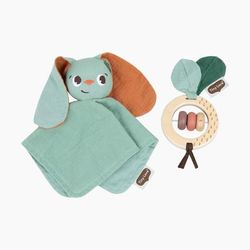Tiny Love Soft Bunny & Rattle Toy Set - Garden of Adventure Collection