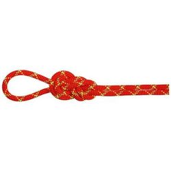 Mammut 8.0 Alpine Core Protect Rope Dry with high Cut Resistance Fire/Halo 50m 2010-04590-11289-1050
