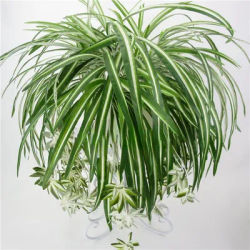 Plantes artificielles murales suspendues Chlorophytum plantes vertes en pot PVC fausses plantes