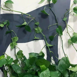 Muslimate Plant & Wire Clips: trasforma il tuo spazio senza danni, verde organizzato