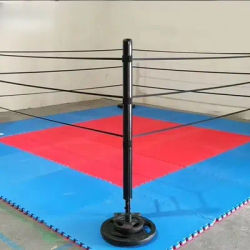 FPR Portable Mini Ring Boxing