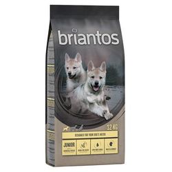 2x12kg Junior Grain-Free Chicken & Potato Briantos Grain Free Dry Dog Food
