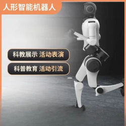 Bionic AI grande robot umanoide intelligente per evitare gli ostacoli, danza, riconoscimento vocale automatico, educazione