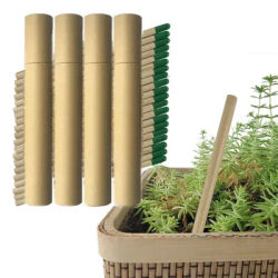 40pcs(pack of 20) HB unsharpened Graphite Plantable Wooden flower, Herb & Vegetable pencil |Christmas Gift for Teach