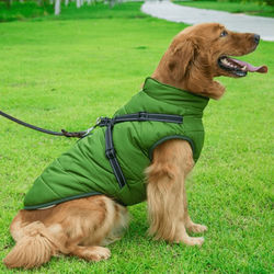 Waterproof Dog Jacket With Harness Green XL