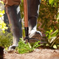 Effortless Yard Care Standing Weed Puller Tool, Bend Free Carbon Steel Design For Root Extraction Effortless Yard Care Standing Weed Puller Tool, Bend Free Carbon Steel Design For Root Extraction