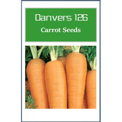 Danvers 126 Carrot Seeds, Non GMO Heirloom Vegetable Seeds For Garden Planting 1500 Seeds