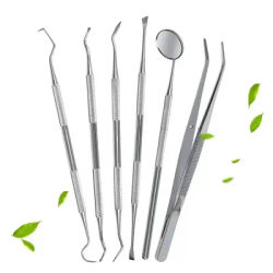 Professional Stainless Steel Dentist Oral Tools Set, Mirror, Flossing, Tartar Removal & Cleaning Kit Professional Stainless Steel Dentist Oral Tools Set, Mirror, Flossing, Tartar Removal & Cleaning Kit