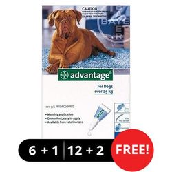 Advantage Extra Large Dogs Over 55 Lbs (Blue) 12 + 2 Free