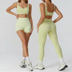 2PCS Sports Set Yoga Suit Sportswear Women Fitness Gym Set Women Tracksuit Running Workout Sports Bra Running Workout Leggings