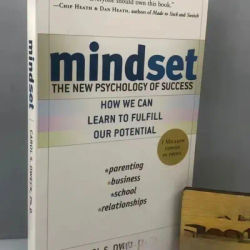 Mindset The New Psychology Of Success English Book by Carol S. Dweck Foreign Literature Inspirational Book