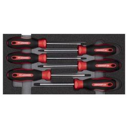 Vis Dr.set Tx 2/6 Ct Module 6 Pcs. - GedoreRed