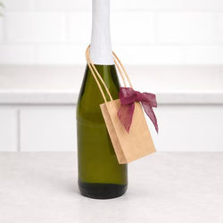 Kraft Paper Merchandise Handle Bags 2 1/2" x 3/4" x 3 1/2" 25 Pack GMB12