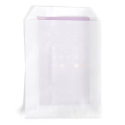 White Merchandise Bags 4" x 6" 100 pack MB6W