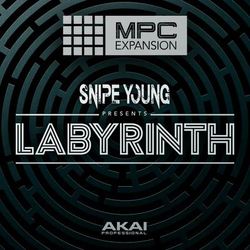 AKAI Professional Labyrinth