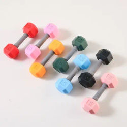 Baby Dumbbell Toy Children's Mini Dumbbells Set for Kids Fitness Physical Development Safe Silicone Hand Weights Toy for Baby