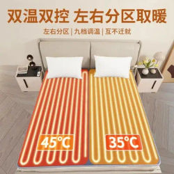Electric Blanket with Smart Temperature Controller Switch, Dual Control for Two People, Electric Mattress