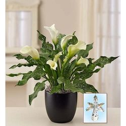 1-800-Flowers Everyday Gift Delivery Loving Memory White Calla Lily Small W/ Guardian Angel | Happiness Delivered To Their Door